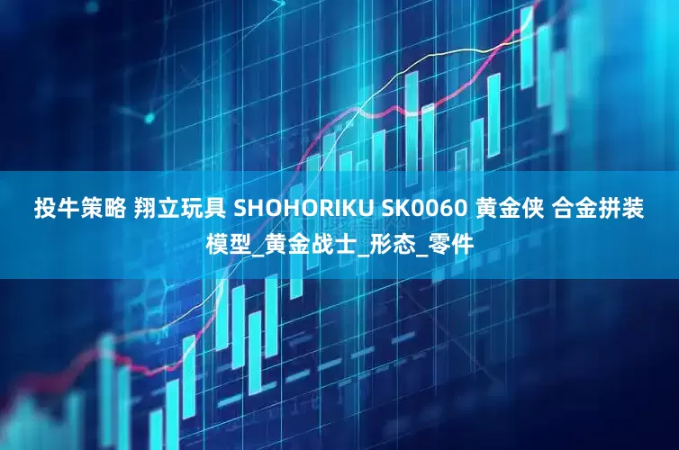 投牛策略 翔立玩具 SHOHORIKU SK0060 黄金侠 合金拼装模型_黄金战士_形态_零件
