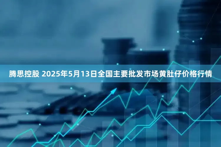 腾思控股 2025年5月13日全国主要批发市场黄肚仔价格行情