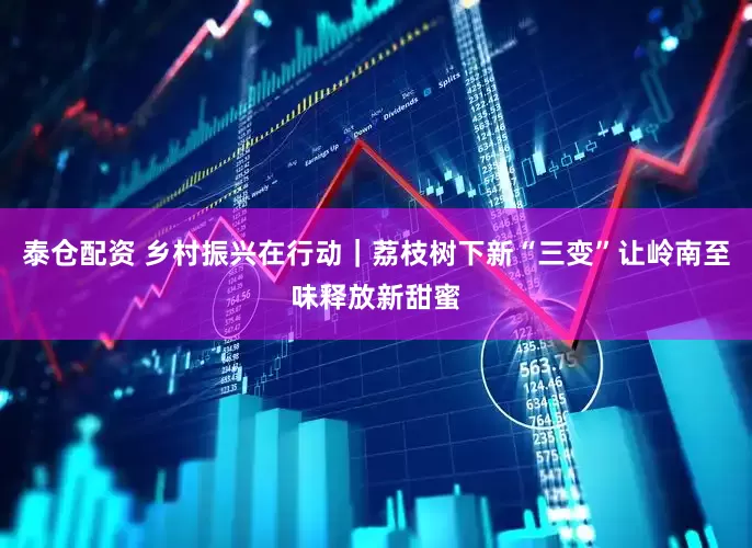 泰仓配资 乡村振兴在行动｜荔枝树下新“三变”让岭南至味释放新甜蜜
